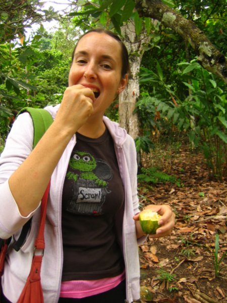 Angela eating the cocoa fruit...