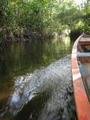 Our canoe tour thru the ecological reserve