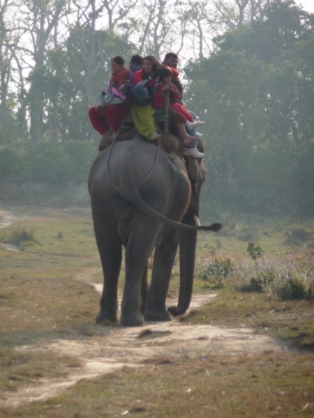 Chitwan National Park