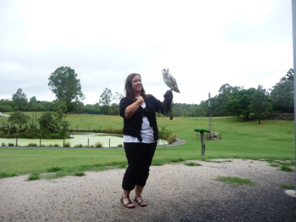 Me holding an owl at the Bird of Prey show