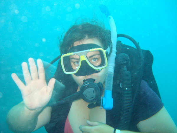Diving on the Barrier Reef