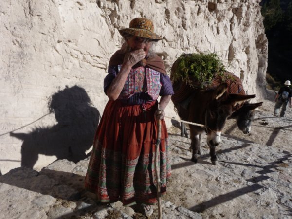 Local woman and donkeys