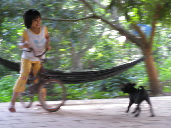 Daughter and puppy of homestay
