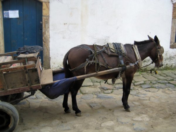 Horse and Cart Anyone??