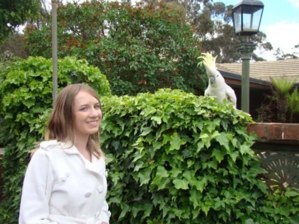 Lizzie and Cockatoo 
