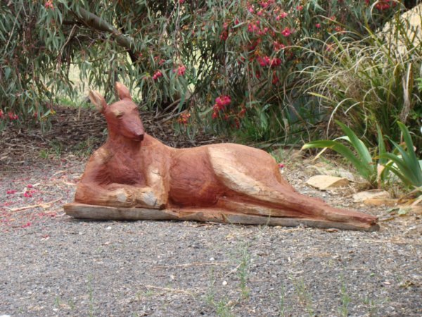 Weird kangaroo pose