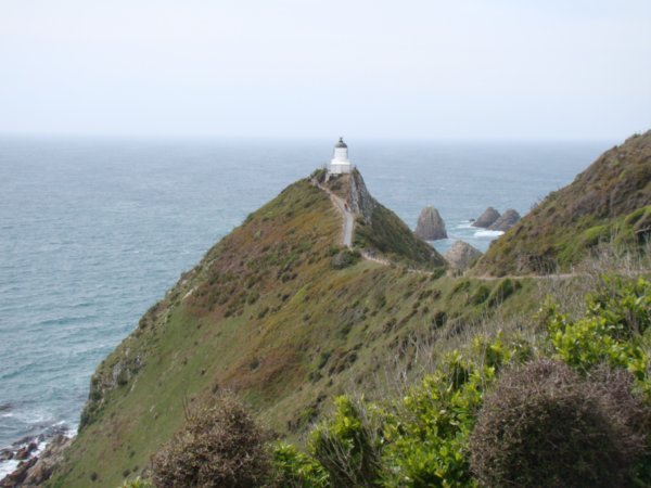 Lighthouse  near kaka point