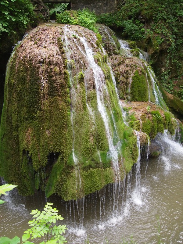 Moss waterfall