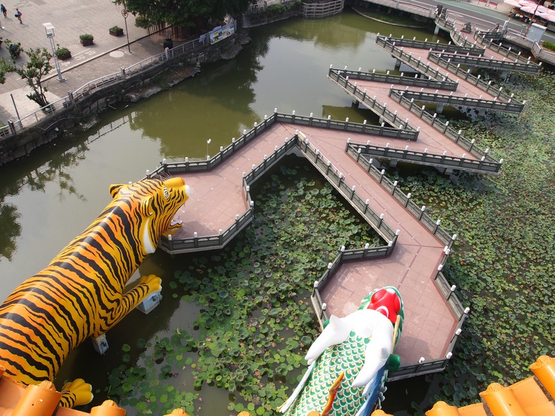Dragon and Tiger temples from above