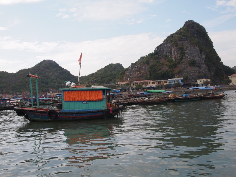 Cat Ba Town Harbor