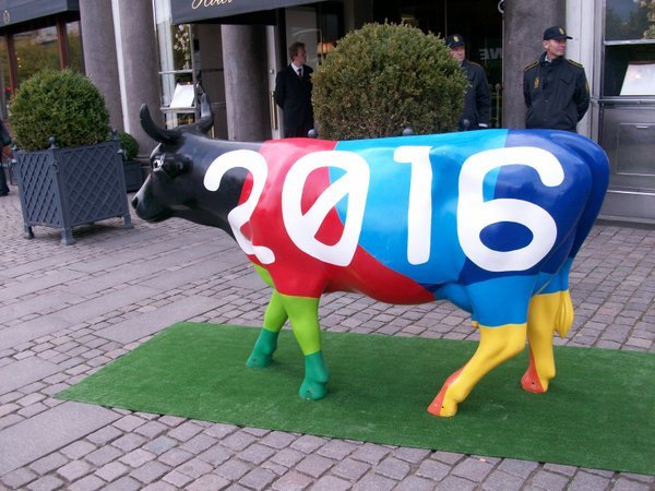 Olympic cow