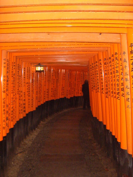 A torii tunnel
