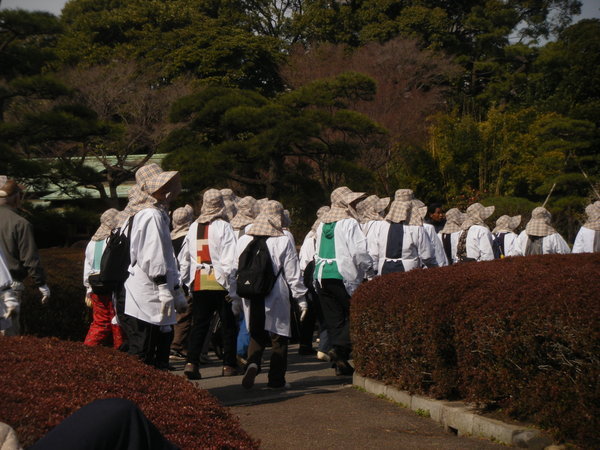 Flocks of Japanese tour groups