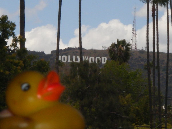 Kippin in front of the Hollywood sign