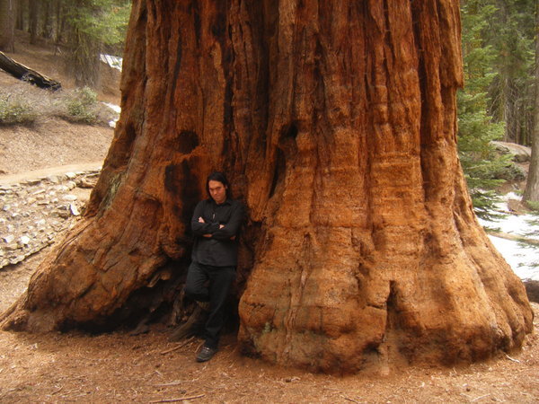 Mark in Sequoia