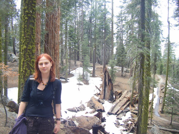 Me in Sequoia
