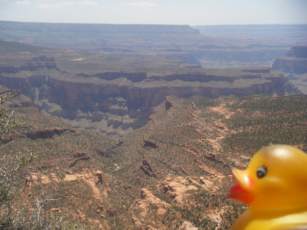 Kippin at the Grand Canyon