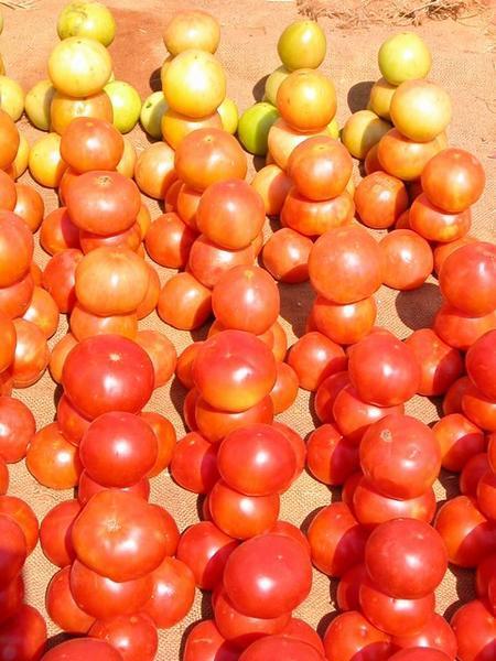 Mzuzu Tomatoes 