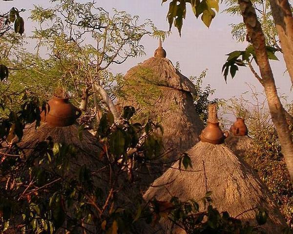 Typical Konso roof tops
