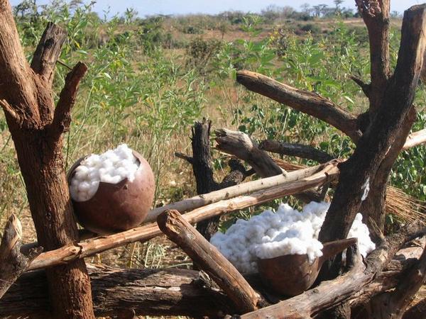 Storing cotton, the Banna way