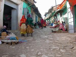 Harar  Along the Winding Paths