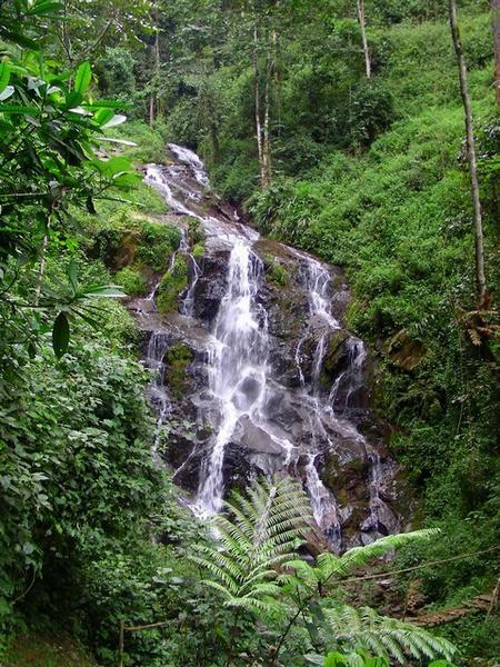 Nyungwe waterfall