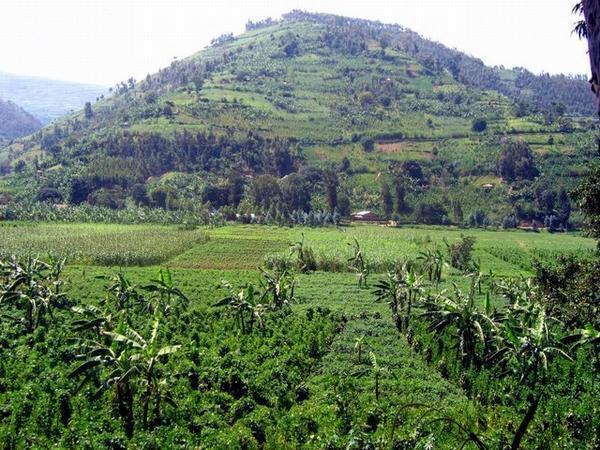 Rwanda's peaceful beauty