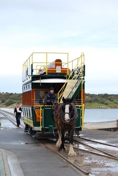 Horse drawn tram at Victor Harbour - poor horse!