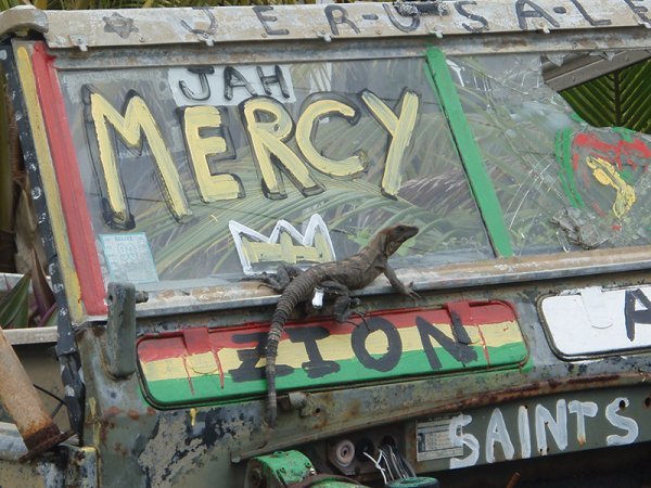 Mercy on the Zion Lizard