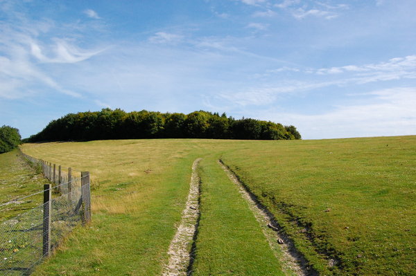 Sussex Field