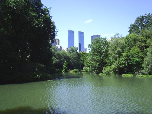 Beautiful Central Park