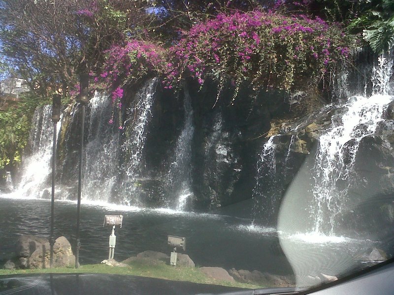 The waterfall at the Grand Wailea