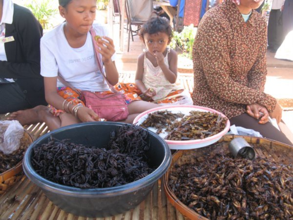 Las hormigas culonas Camboyanas! Tarantulas!! Las probamos son peludas y carnuditas en el rabo.. muy sabrosas!