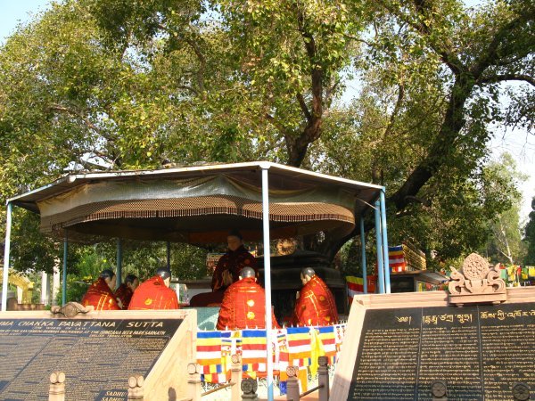 En Sarnath. En este sitio fue donde El Buda dio su primera clase. Los de anaranjado son munecos