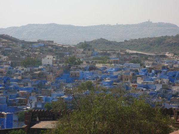 A Jhodpur la llaman la ciudad azul. Ya notan porque. Antes el azul solo era usado por la casta de Brahamanes la mas alta ( los religiosos) ahora cualquiera puede pintar la casa de azul.