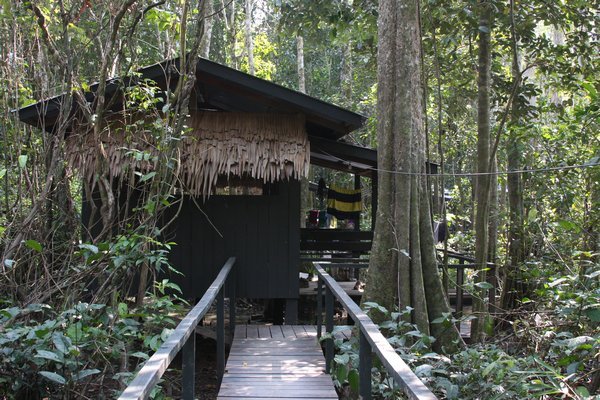Our jungle hut