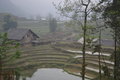 Rice terraces near Cat Cat Village