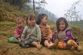 Local kids on one of our treks