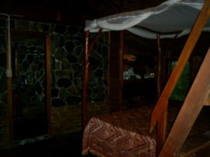 Jungle hut room