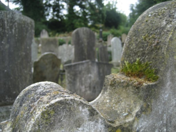 Grey Abbey Cemetery 3