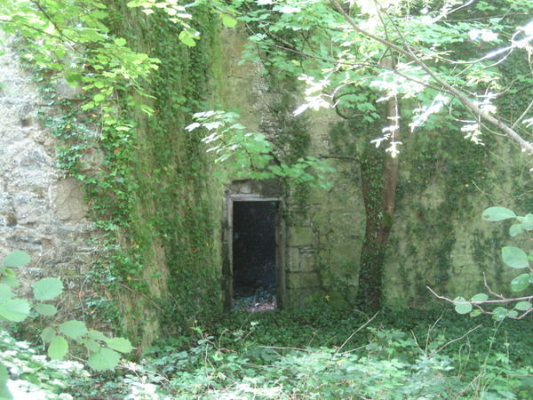 Inside O'Rourke's Castle