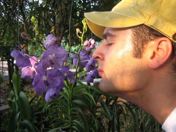 There he goes again. This time with orchids.