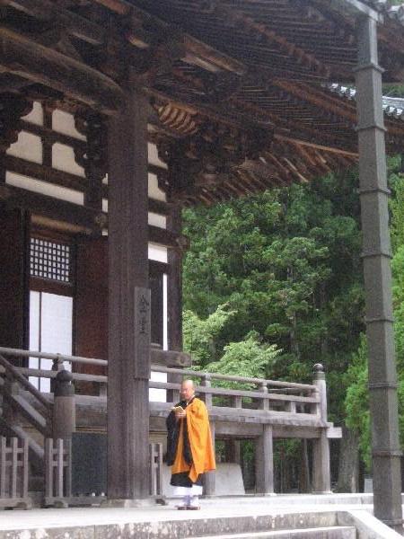 Buddhist Monk in Action