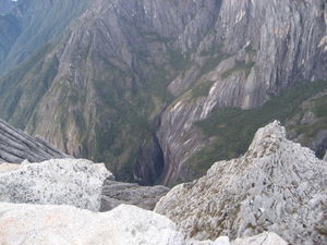 Valley Below the Summit