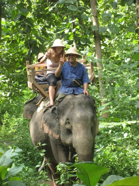 Elephant Ride with a Japanese Twist