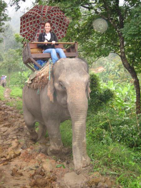 Me and my elephant
