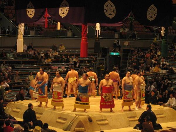 Sumo In Osaka