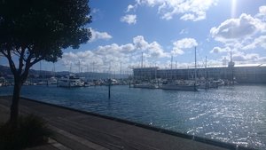 Wellington - Hafen 