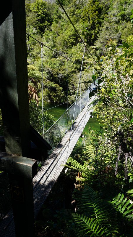 Abel Tasman National Park - Hängebrücke
