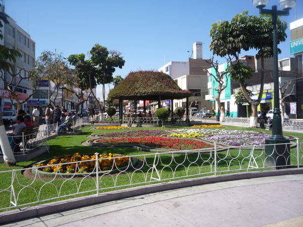 La Plaza II
